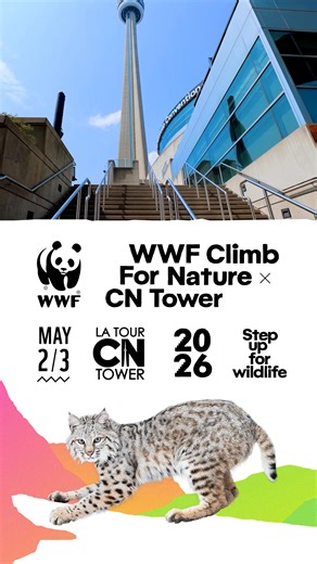 Take Toronto’s tallest challenge on May 2-3! Climb the CN Tower's 1,776 steps to help wildlife, nature and people thrive. | WWF-Canada