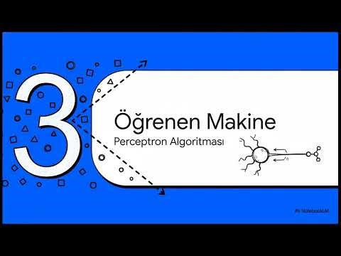 Makine Öğrenmesi Temelleri: Linear Regression, Regularization ve Perceptron Algoritması