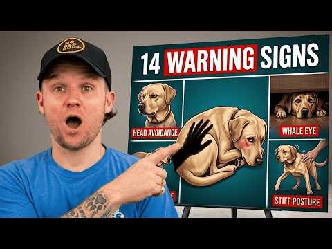 13 Signs Your Dog Doesn’t Love You (Even if You Think They Do)