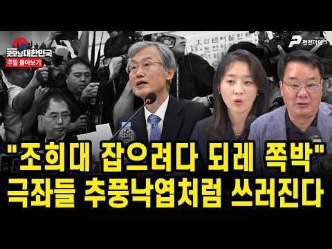 "조희대 잡으려다 되레 쪽박" 극좌들 추풍낙엽처럼 쓰러진다 [주말 몰아보기]