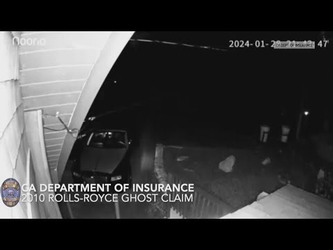 Los Angeles fraud case reveals staged animal attack caught on video