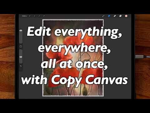 A Procreate quickie - edit everything all at once with copy canvas