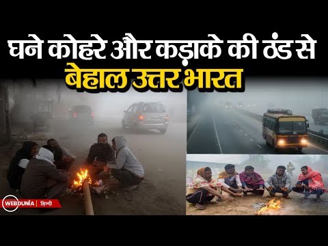 Weather Update : उत्तर भारत में कोहरे और शीतलहर का कहर, जानें 1 जनवरी तक कहां कैसा रहेगा मौसम