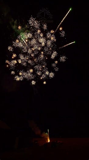 Pyrotrade CB30-25-37 Alpha 37 Color Crackling