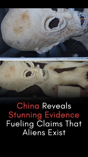 Cosmin Evrything on Instagram: "China Reveals Shocking Evidence That Could Change Everything We Know About Alien Life Newly released footage and findings from China have ignited global debate, fueling claims that extraterrestrial life may be real. The mysterious biological structures shown in the video have left scientists and experts divided — is this an unknown Earth species, experimental research, or evidence pointing beyond our planet? As questions grow and theories spread, the world watches