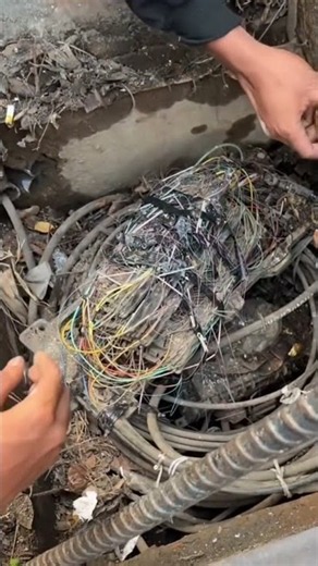 When Your Network Cable Management Becomes a Complete Nightmare!