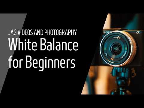 White Balance for Beginners — How to Get Natural & Accurate Colour