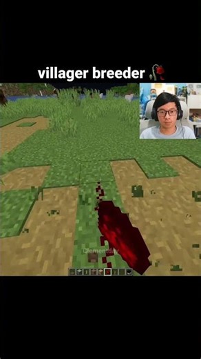 Minecraft Villager Moment