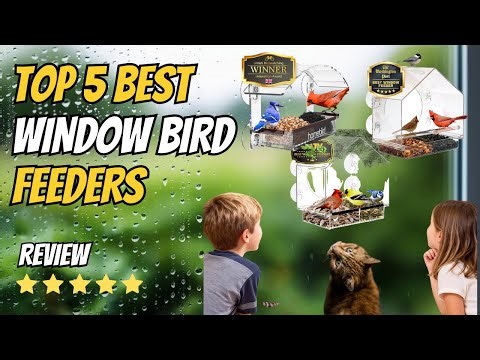 Best Window Bird Feeders of 2026 🐦 | Watch Birds Up Close from Inside Your Home