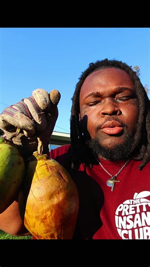 The Fascinating History of Coconuts Revealed