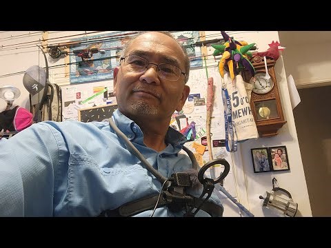 Night Coin Hunt 🪙, What's there?