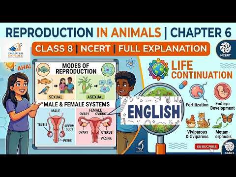 Class 8 Chapter 6 Reproduction in Animals