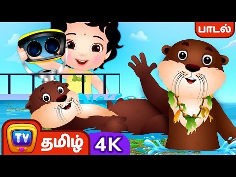 நீர்நாய் தான் என் பேரு (Sea Otter Animal Song) - ChuChu TV Tamil Rhymes in 4K for Kids #ChuChuTV100M