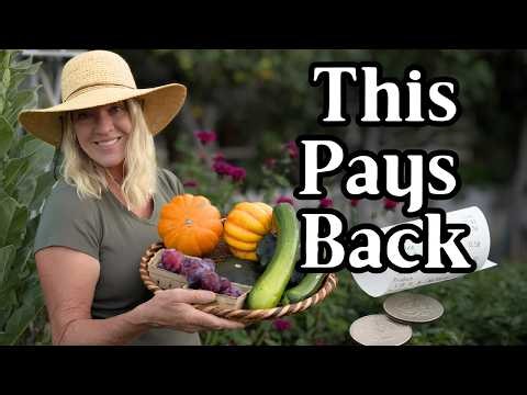How Our 1/2 Acre Homestead Saves Us Money