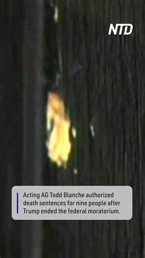 Justice Department Proposes Readoption of Firing Squads for US Federal Executions