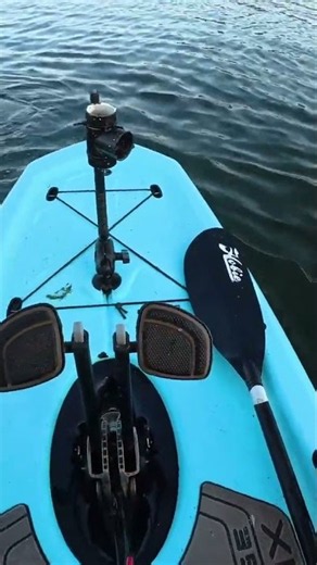 Is That a Flathead Bite???