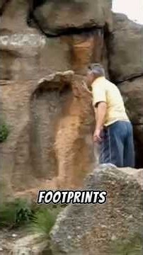 He Was PAID to Investigate Bigfoot?! 👀🦶David Paulides tells Joe Rogan