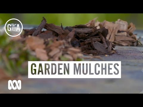 Choosing Mulch | Gardening Hack | Gardening Australia
