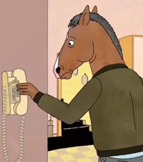 Title: BoJack Horseman Year: 2014-2020 Storyline: BoJack Horseman follows the cynical, self-destructive, and washed-up star of the 1990s sitcom Horsin' Around as he attempts to navigate the superficial world of Hollywood, chronic depression, and broken relationships. Alongside his loyal roommate Todd, cynical agent and ex-lover Princess Carolyn, aspiring writer Diane, and cheerful rival Mr. Peanutbutter, BoJack embarks on a painfully honest journey of self- discovery. Blending sharp dark comedy,