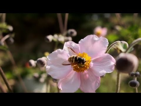 Spring allergy mistakes you could be making -- how to fix it