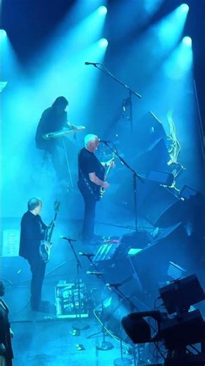 David Gilmour – “Breathe” LIVE at Madison Square Garden 🎸 (2024) | Bucket List Concert #Shorts