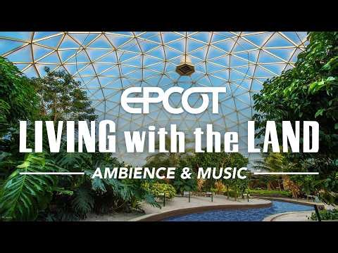 Living With The Land Ambience | Walt Disney World Sights & Sounds | 4K HDR