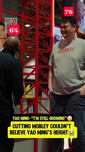 Yao HAD Mobley in DISBELIEF😭