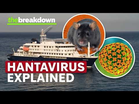 Hantavirus explained as health experts confirm 'Andes' strain outbreak