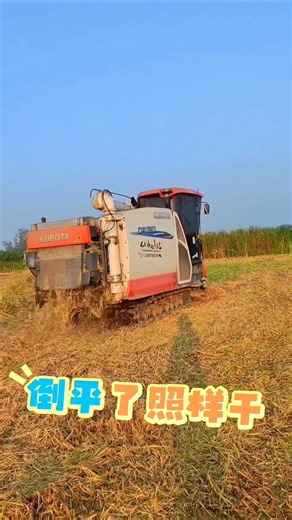 Kubota DR120 combine harvester 💥 #shorts #shortsfeed #kubota