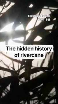 The hidden history of rivercane #indigenous #choctaw #ecology #history