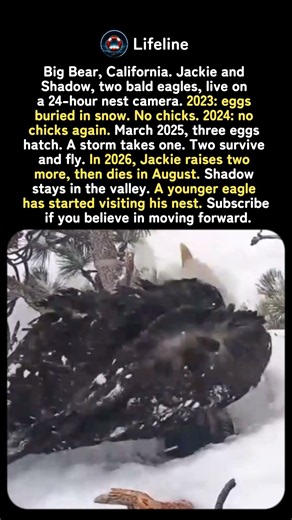Two Years of Nothing. Then Everything. 🦅❄️