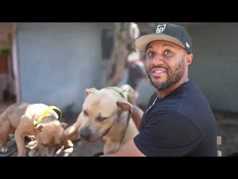 How Much Should You Feed and Managing Bowl Aggression?