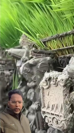 China’s Amazing Farming Machine Plants Rice & Wheat Automatically 😱🌾