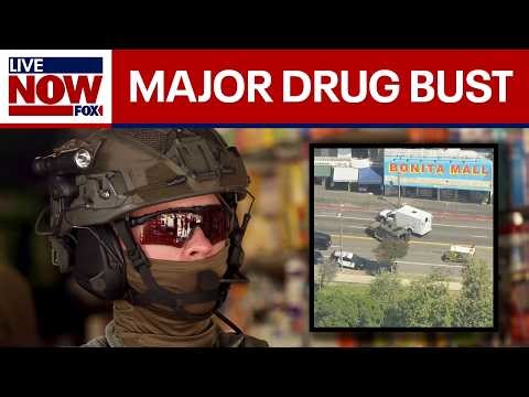 'Zombieland:' Federal agents conduct massive drug raid in Los Angeles
