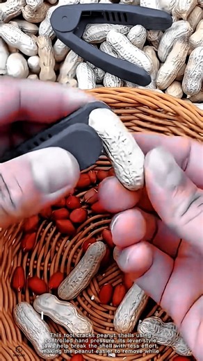 clever Peanut Cracker for Fast and Clean Shell Opening #worktool