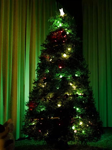 nyan.mp3 (@nyan_mp3)’s video of its like a furnace in here