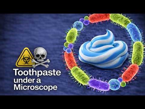 YOU USE THIS EVERY DAY — Toothpaste under a Microscope