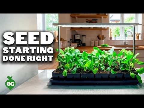 How To Start Seeds Indoors Under Lights (COMPLETE GUIDE)