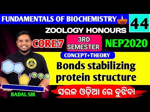 Bond stabilizing protein structure|Biochemistry core7|Zoology honours|3rd semester zoology honours