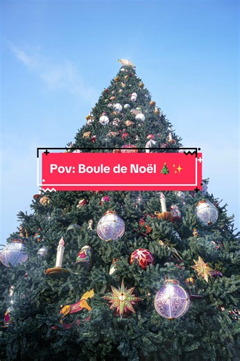 Magical Christmas at Disneyland: A Joyful Celebration