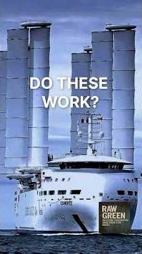 The Fastest Wins in Shipping Decarbonisation