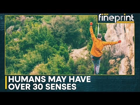 The Hidden Sensors: Your Body Knows Before You Do | WION Fineprint