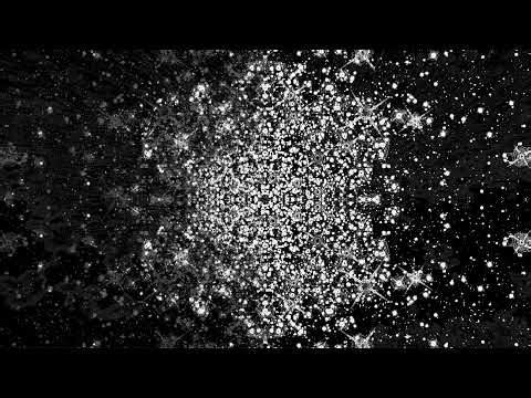 Chillarium of the Dodecapus - 24/7 trip in motion sound and picture