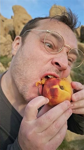 One Baby Step for Man…