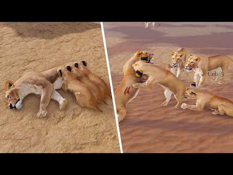 Raising Lion Cubs Into Alpha Lions! | ROBLOX Eternal Enemies
