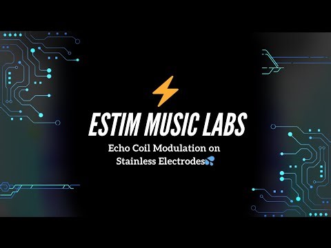 Echo Coil Modulation on Stainless Electrodes