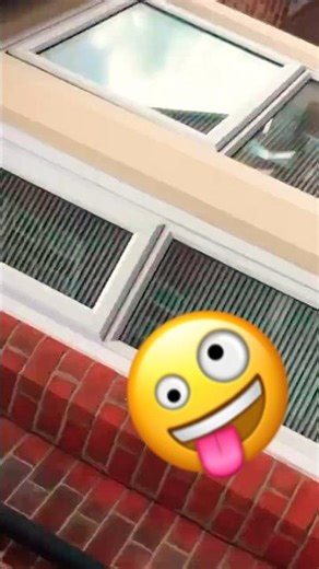 ASMR | 🥫 Fast Aggressive Random Supermarket No. 1🥫