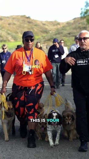 Experience Cesar's Signature Pack Walk