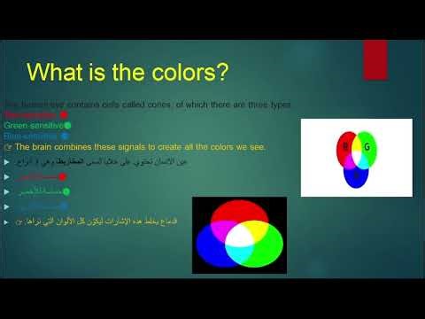 The most comprehensive and detailed video on how to draw using Python