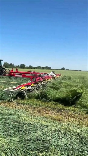 Tractor-Drawn Rotary Hay Rake and Grass Harvesting Process